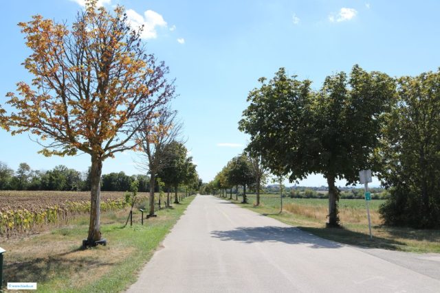 Gesamt_2
