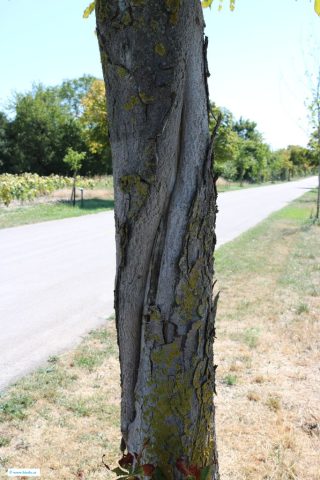 west_2_2